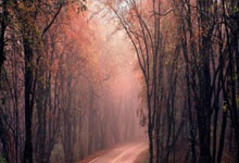 C罗补时被换下,贡萨洛-拉莫斯替补出场,葡萄牙进加时.