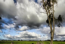 皇冠体育官网:欧联杯八强对阵:里昂vs曼联,热刺vs法兰克福.