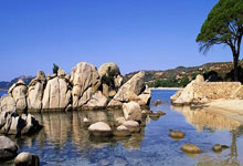 皇冠体育官网：[国际足球]TOP10：十大人挪活.